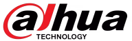 Dahua-Technology-logo-1